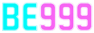 bdbe999.net Logo